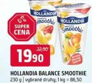 Terno Hollandia balance Smoothie 230 g vybrané druhy nabídka