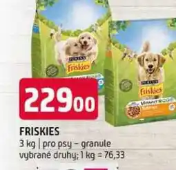 Terno Friskies 3 kg pro psy granule vybrané druhy nabídka