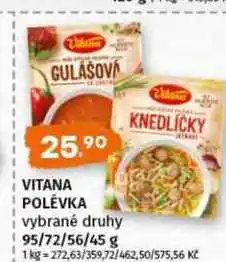 Terno Vitana instantní polévka 95/72/56/45 g, vybrané druhy nabídka