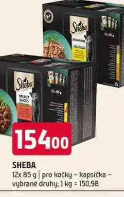 Terno Sheba 12x 85 g pro kočky kapsička vybrané druhy nabídka