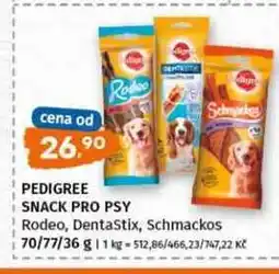 Terno Pedigree snack pro psy 70g, vybrané druhy nabídka