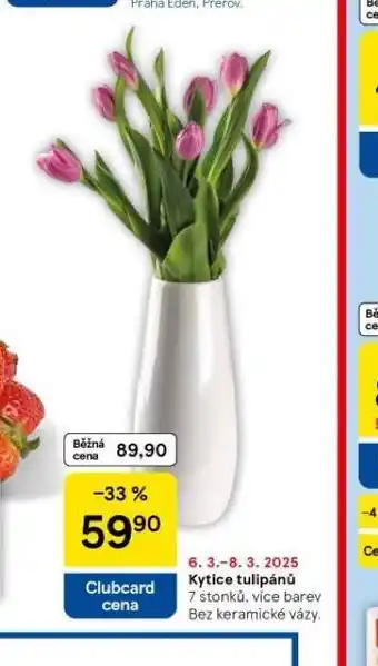 Tesco Kytice tulipánů nabídka