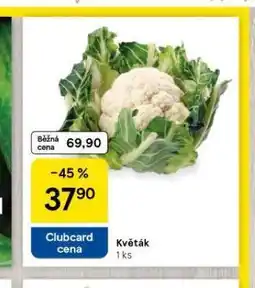 Tesco Květák nabídka