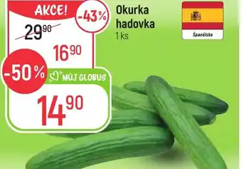 Globus Okurka hadovka nabídka