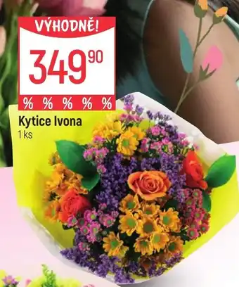 Globus Kytice Ivona nabídka