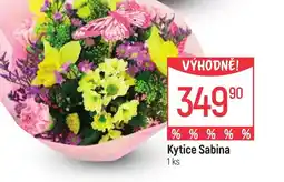 Globus Kytice Sabina nabídka