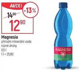 Globus MAGNESIA nabídka