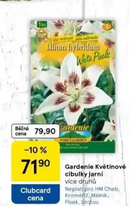 Tesco Gardenie květinové cibulky jarní nabídka