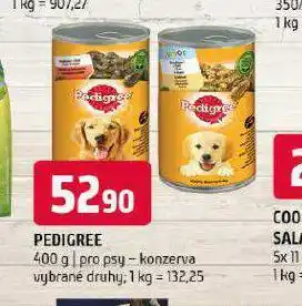 Terno Pedigree konzerva pro psy nabídka