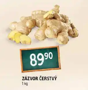 Terno Zázvor čerstvý nabídka