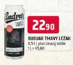 Terno Pivo budvar nabídka