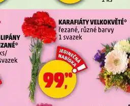 Penny Market Karafiáty velkokvěté nabídka