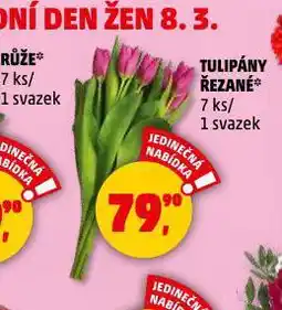 Penny Market Tulipány nabídka