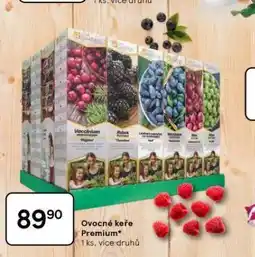 Tesco Ovocné keře premium nabídka