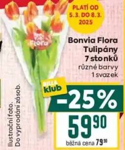 Billa Bonvia Flora Tulipány 7 stonků nabídka