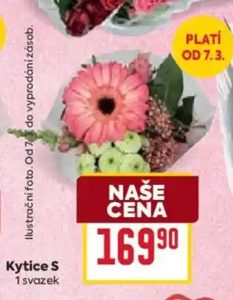 Billa Kytice s nabídka