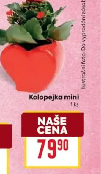 Billa Kolopejka mini nabídka