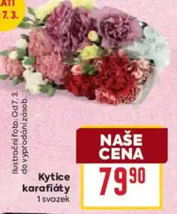 Billa Kytice karafiáty nabídka