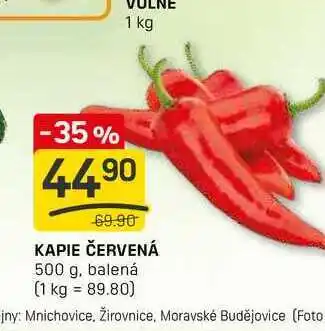 Flop KAPIE ČERVENÁ 500 g nabídka