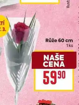 Billa Růže 60 cm 1ks nabídka