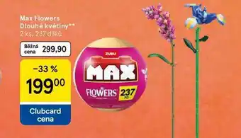 Tesco Max Flowers Dlouhé květiny, 2 ks. 237 dílků nabídka