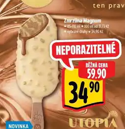 Albert Zmrzlina Magnum 85-110 ml nabídka