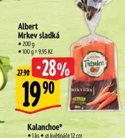 Albert Albert Mrkev sladká 200 g nabídka