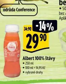 Albert Albert 100% štávy 250 ml nabídka