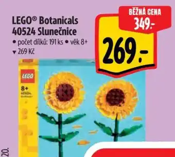 Albert LEGO® Botanicals 40524 Slunečnice nabídka