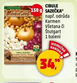 Penny Market Cibule sazečka nabídka