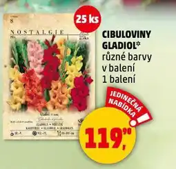 Penny Market Cibuloviny gladiol nabídka