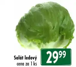 Qanto Salát ledový nabídka