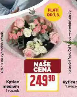 Billa Kytice medium nabídka