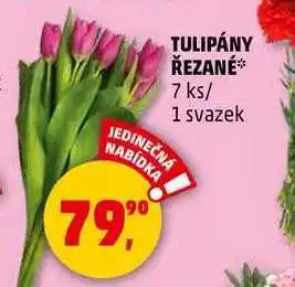 Penny Market TULIPÁNY ŘEZANÉ, 7 ks/ 1 svazek nabídka