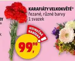 Penny Market KARAFIÁTY VELKOKVĚTÉ řezané, různé barvy, 1 svazek nabídka