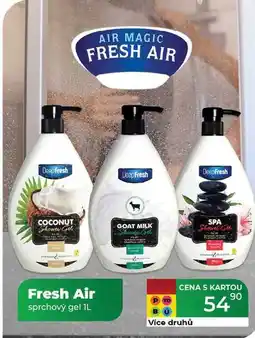Fresh Air sprchový gel 1L