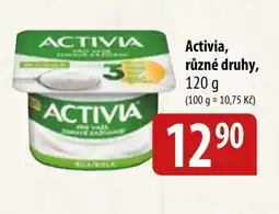 Bala Activia nabídka