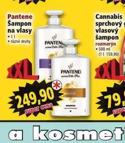 Norma Pantene šampon nabídka