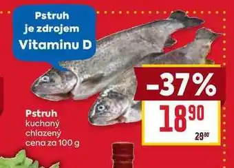 Billa Pstruh kuchaný chlazený cena za 100 g nabídka