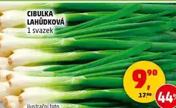 Penny Market CIBULKA LAHŮDKOVÁ, 1 svazek nabídka