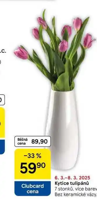 Tesco Kytice tulipánů, 7 stonků, více barev, Bez keramické vázy nabídka