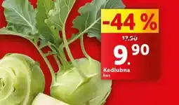 Lidl Kedlubna nabídka