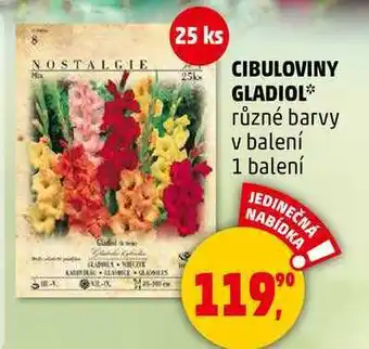 Penny Market CIBULOVINY GLADIOL různé barvy v balení, 1 balení nabídka