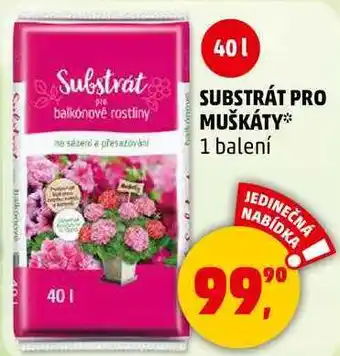 Penny Market SUBSTRÁT PRO MUŠKÁTY, 1 balení nabídka