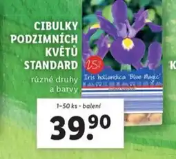 Lidl Cibulky podzimních květů standard nabídka