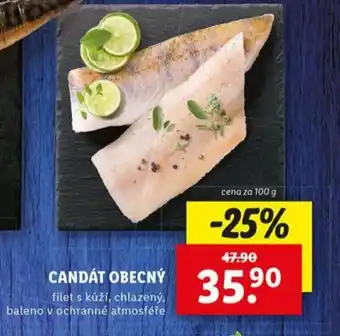 Lidl Candát obecný nabídka