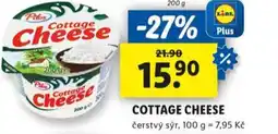 Lidl Cottage cheese nabídka