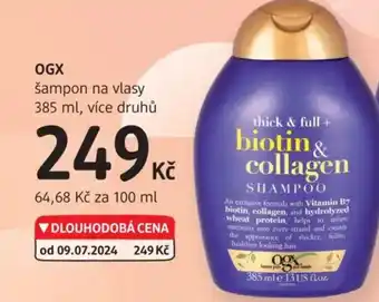 dm drogerie OGX šampon na vlasy nabídka