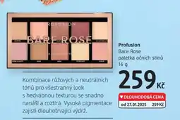 dm drogerie Profusion Bare Rose paletka očních stínů nabídka