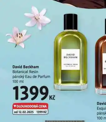 dm drogerie David beckham botanical resin nabídka